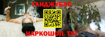 дмт Новодвинск