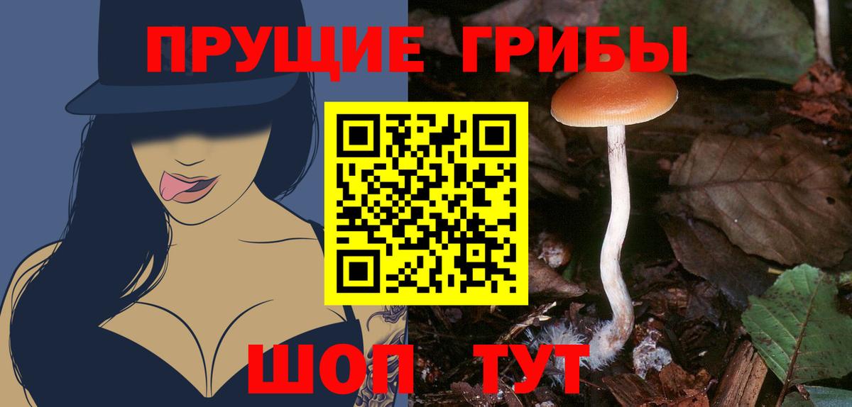 Галлюциногенные грибы ЛСД Среднеуральск