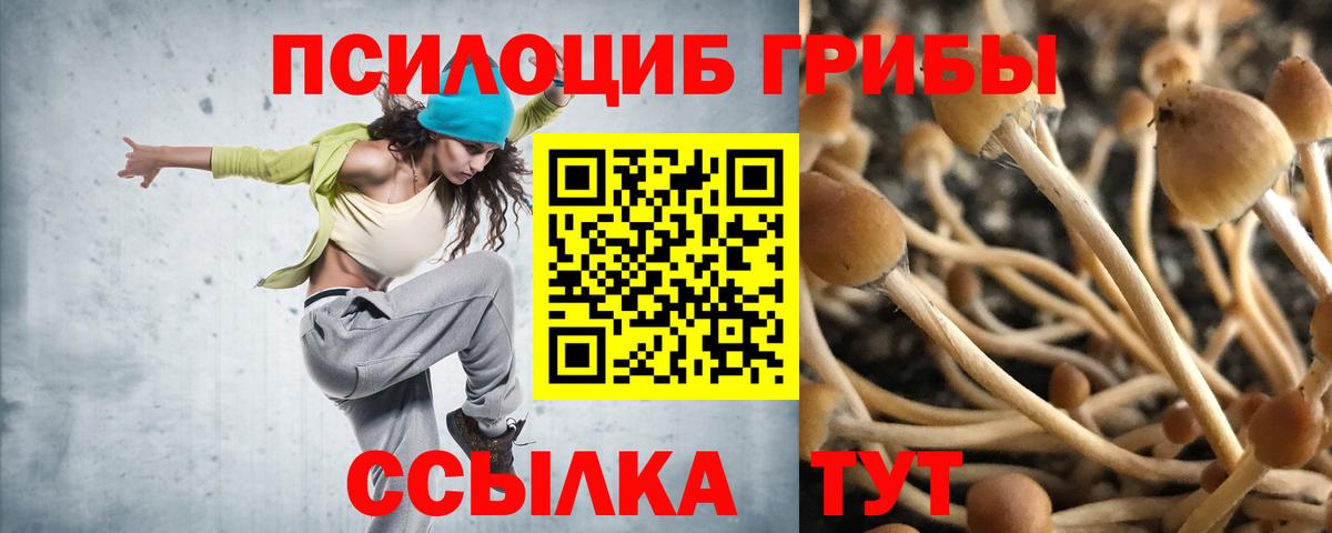 наркотики  Вход с VPN  Галлюциногенные грибы прущие грибы  Среднеуральск  Галлюциногенные грибы MAGIC MUSHROOMS 